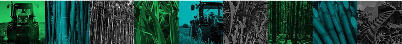 Junamar — estrutura e qualidade