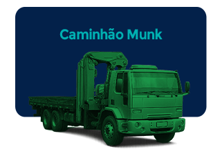 Caminhão Munck